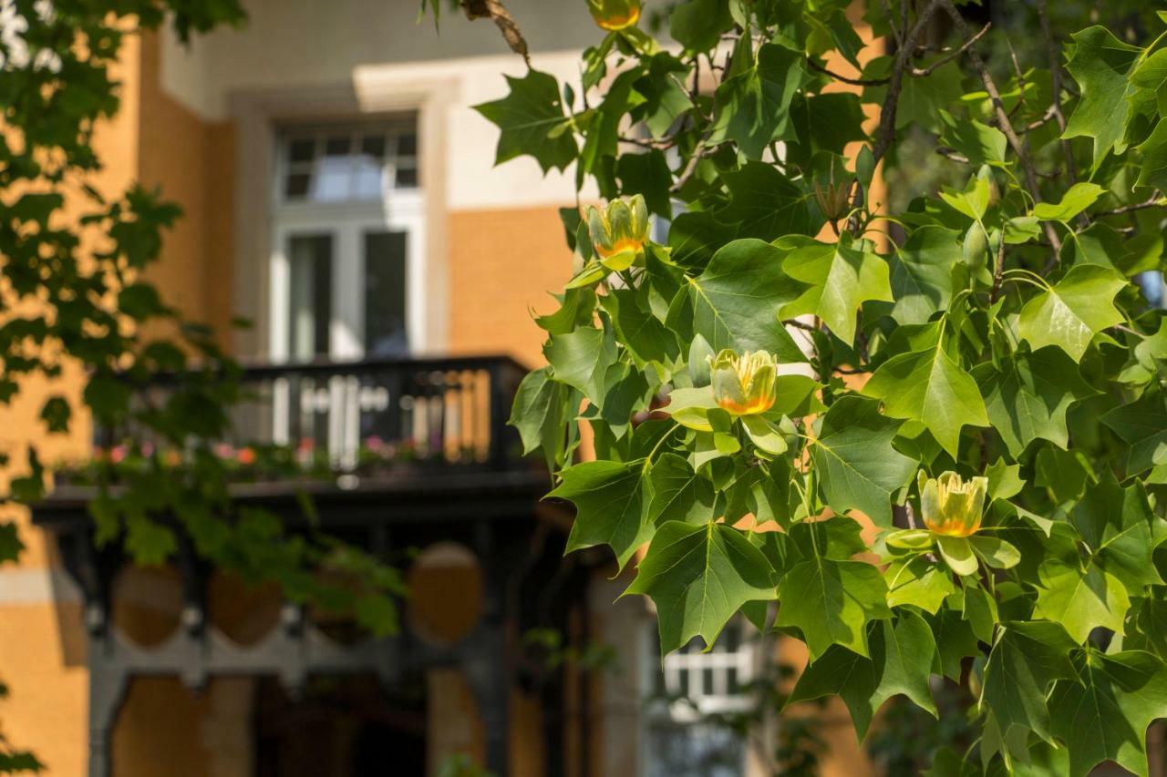 Gaestehaus Musmann Munden  Bagian luar foto
